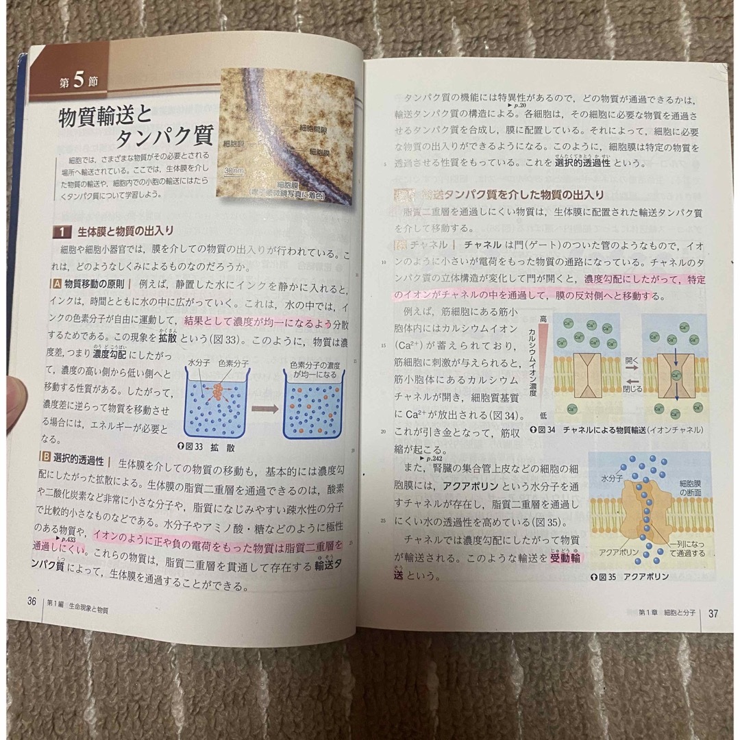 学研(ガッケン)の高校 生物 エンタメ/ホビーの本(語学/参考書)の商品写真