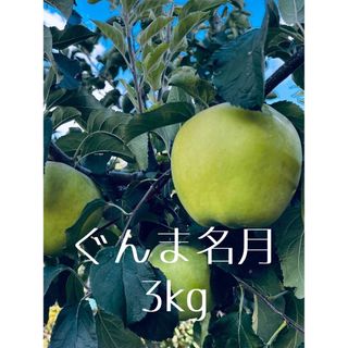 信州産　ぐんま名月　3kg(フルーツ)