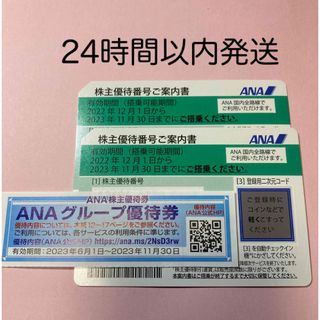 エーエヌエー(ゼンニッポンクウユ)(ANA(全日本空輸))のANA株主優待券　ANAグループ優待券(その他)