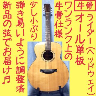 美品　HONEY BEE　W-15 CS　アコースティックギター　弦は新品！