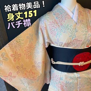 しつけ糸の残った美品袷着物　バチ襟　花柄の小紋　身丈151(着物)