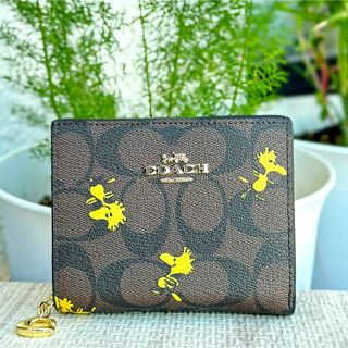 コーチ(COACH) クロコダイル 財布(レディース)(ブラック/黒色系)の