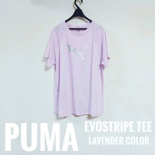 プーマ(PUMA)の【新品タグ付き】PUMA　プーマ　エヴォストライプ半袖Tシャツ　XL　ラベンダー(Tシャツ(半袖/袖なし))