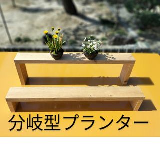 只今、人気の分岐型ウッドプランター　多肉植物　植物棚　　後でお客様の好みの色を塗(その他)