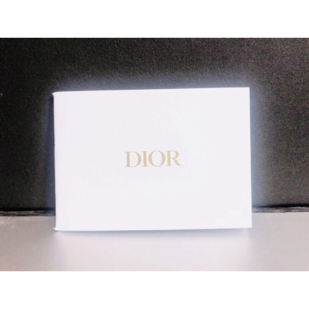 アクセサリーDior ディオール　シルバーネックレス