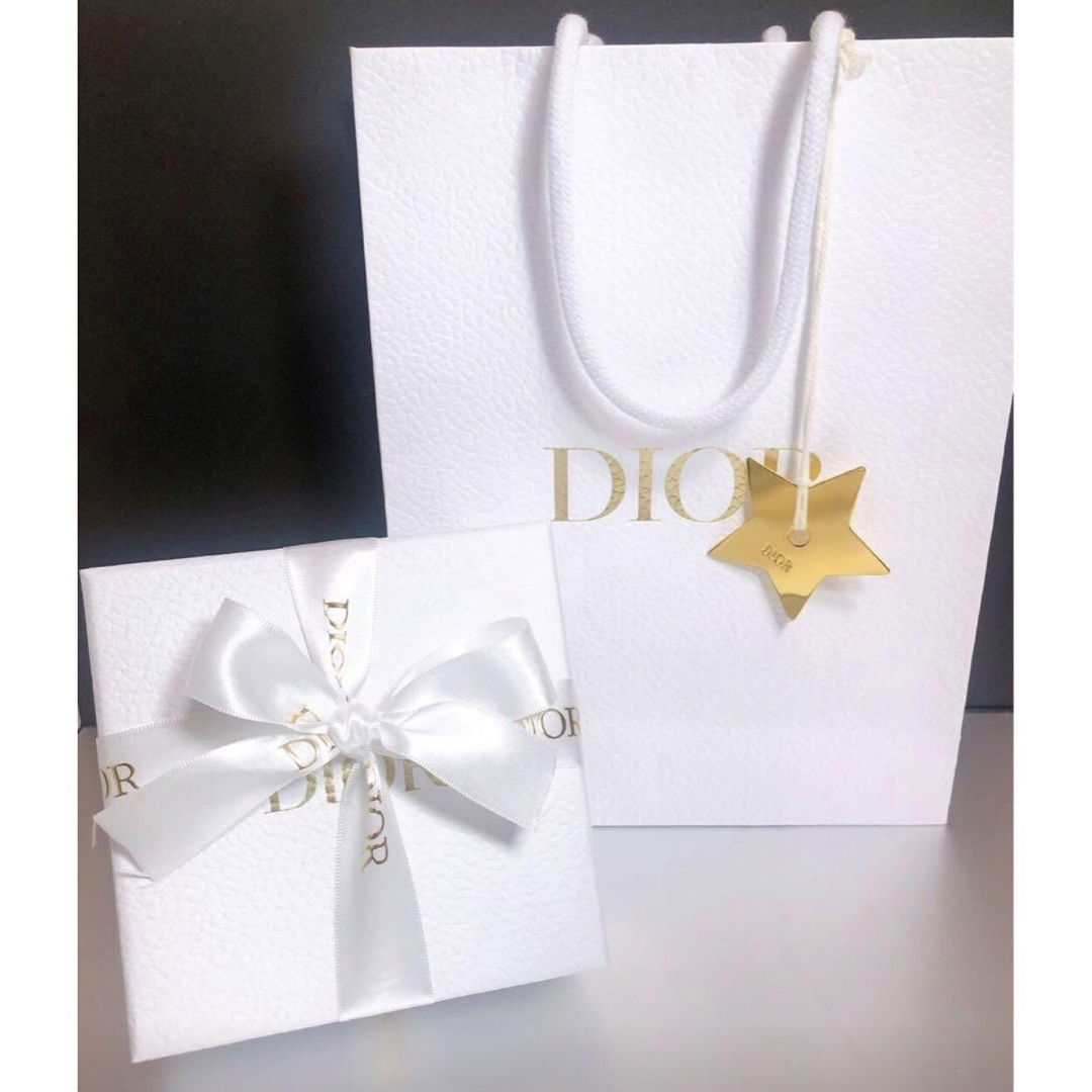 アクセサリーDior ディオール　シルバーネックレス