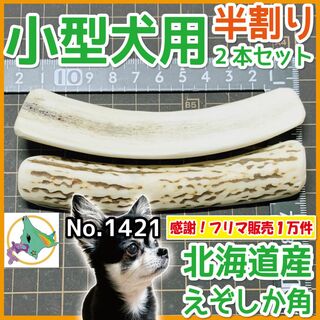 アンチノール犬用90粒3ケース - hoteljahorina.com
