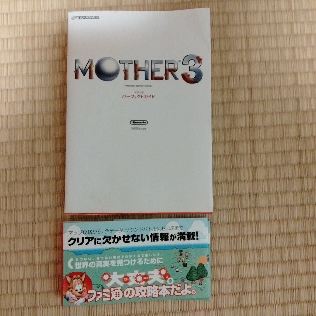 ゲームボーイアドバンス(ゲームボーイアドバンス)のＭｏｔｈｅｒ　３パ－フェクトガイド Ｇａｍｅ　ｂｏｙ　ａｄｖａｎｃｅ エンタメ/ホビーの本(アート/エンタメ)の商品写真