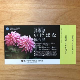 兵庫県いけばな協会展前売券　2回分(美術館/博物館)