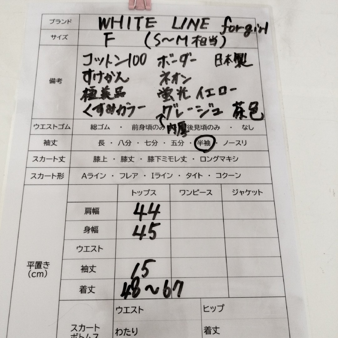 WHITE LINE(ホワイトライン)の未使用級！ホワイトライン 　配色ニット　S～M相当　日本製　半袖　ネオンボーダ レディースのトップス(ニット/セーター)の商品写真