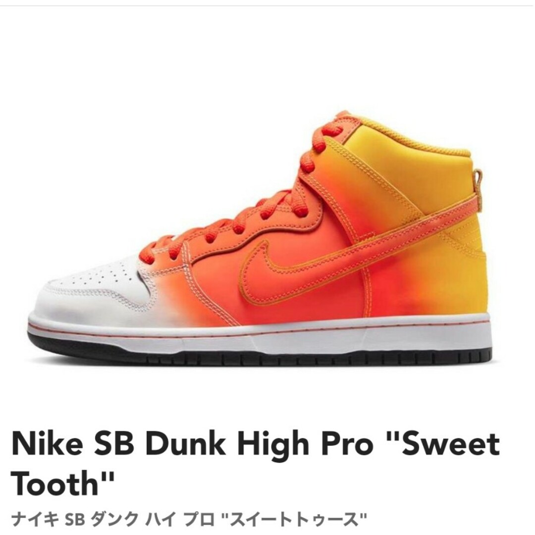 新品未使用⭐︎NIKE SB DUNK PRO