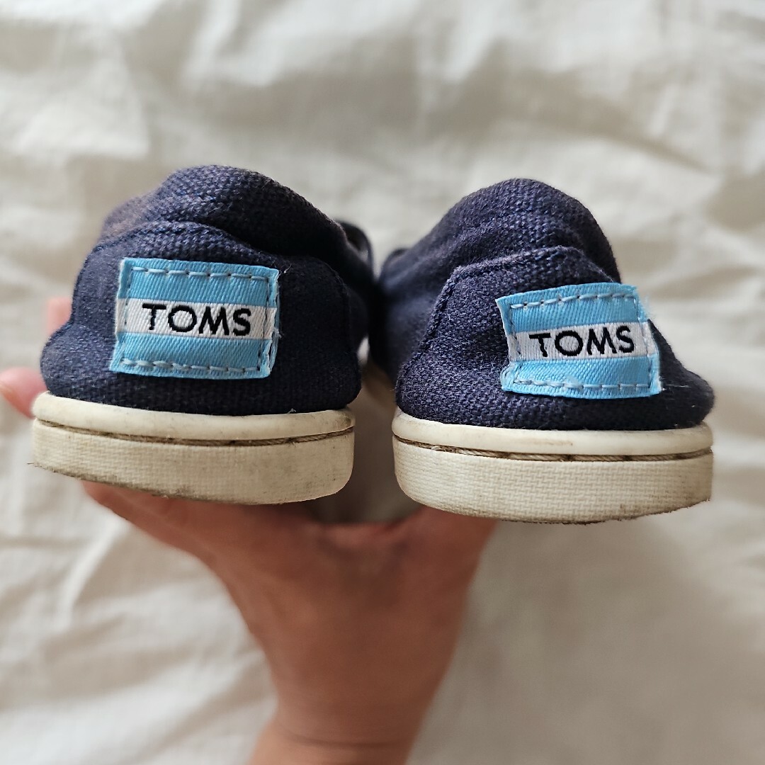 TOMS(トムズ)のTOMS  tiny canvus classics  15cm キッズ/ベビー/マタニティのキッズ靴/シューズ(15cm~)(スリッポン)の商品写真