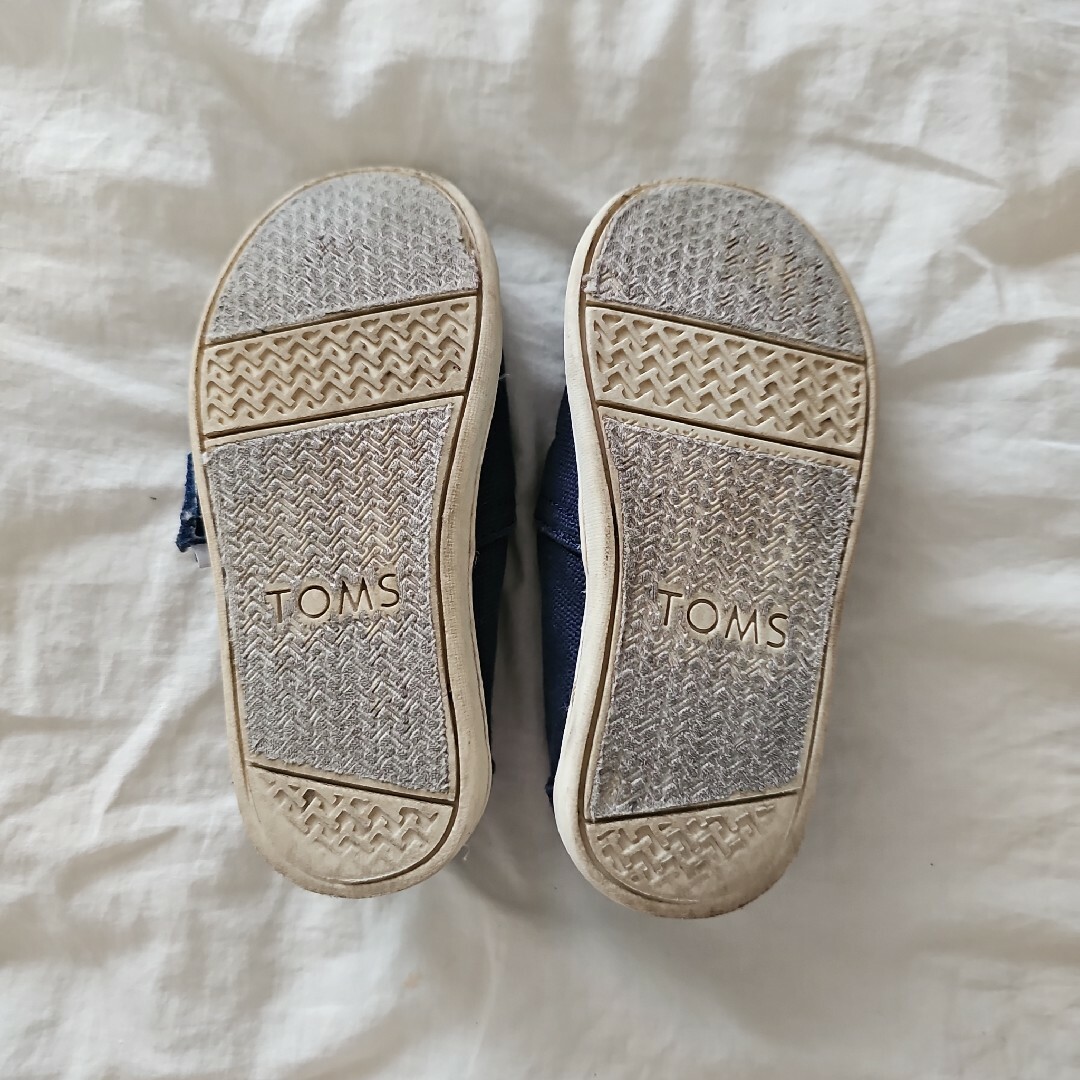 TOMS(トムズ)のTOMS  tiny canvus classics  15cm キッズ/ベビー/マタニティのキッズ靴/シューズ(15cm~)(スリッポン)の商品写真