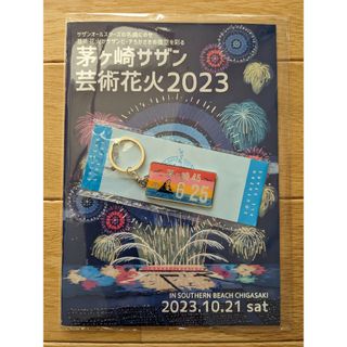 サザンオールスターズ　ナンバープレートキーホルダー　茅ヶ崎ライブ2023(ミュージシャン)