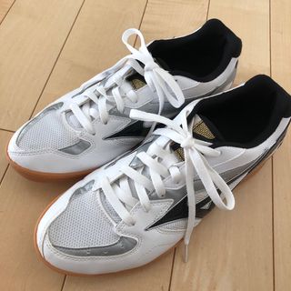 ミズノ(MIZUNO)の卓球シューズ　27.5㌢　美品(卓球)