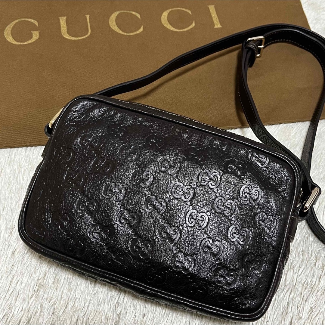 Gucci - ✨極美品✨グッチ ショルダーバッグ カメラバッグ 斜め掛け