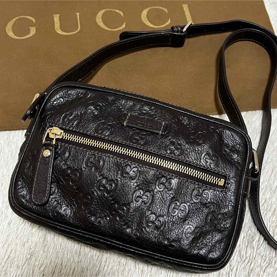 Gucci - ✨極美品✨グッチ ショルダーバッグ カメラバッグ 斜め掛け