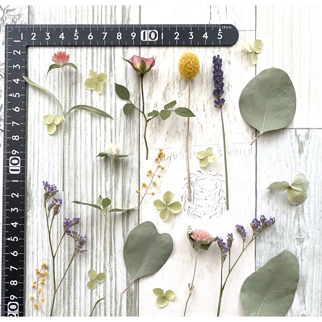 No.197❇︎ドライフラワー花材セット❇︎S❇︎短い茎付き ハンドメイドのフラワー/ガーデン(ドライフラワー)の商品写真
