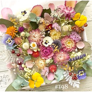 No.198❇︎ドライフラワー花材セット❇︎M ❇︎薔薇❇︎ビオラ(ドライフラワー)