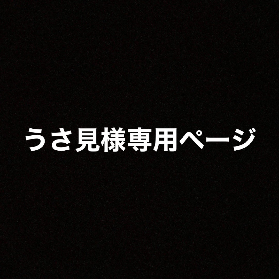 専用ページエンタメ/ホビー