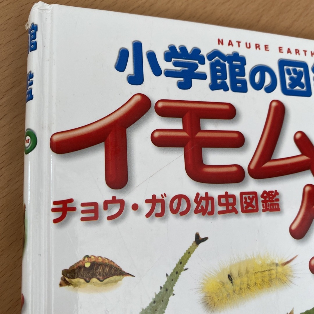 小学館(ショウガクカン)の小学館の図鑑NEO イモムシとケムシDVDつき エンタメ/ホビーの本(語学/参考書)の商品写真