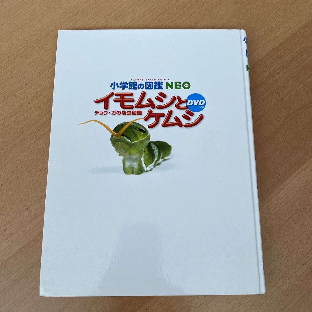 小学館(ショウガクカン)の小学館の図鑑NEO イモムシとケムシDVDつき エンタメ/ホビーの本(語学/参考書)の商品写真