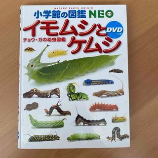 ショウガクカン(小学館)の小学館の図鑑NEO イモムシとケムシDVDつき(語学/参考書)