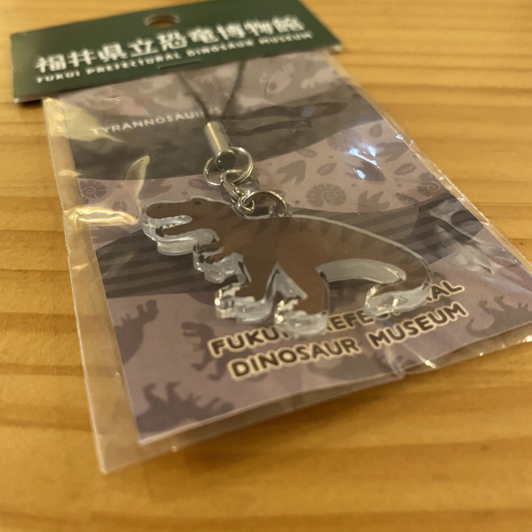 福井県立恐竜博物館 アクリルカットストラップ 2個セット エンタメ/ホビーのアニメグッズ(ストラップ)の商品写真