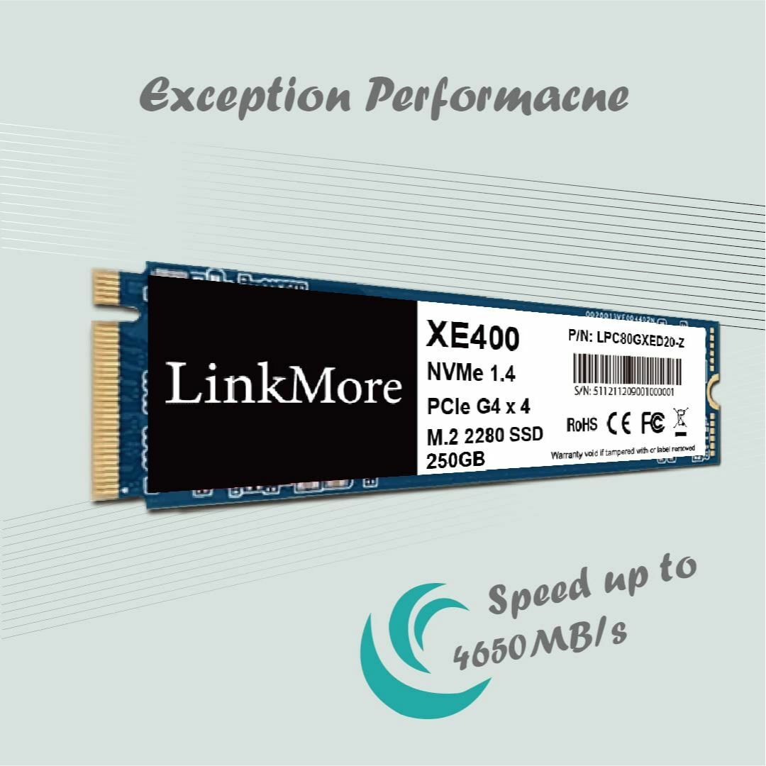 【サイズ:250GB_スタイル:XE400】LinkMore XE400 250 2