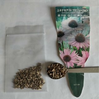 おまけ付【エキナセア種130粒超え⤴】エキナセア（プロフュージョン）薬草ハーブ(プランター)