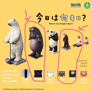 タニタ(TANITA)のタニタ✖️パンダの穴　今日は何キロ？　ガチャ　3点セット(その他)