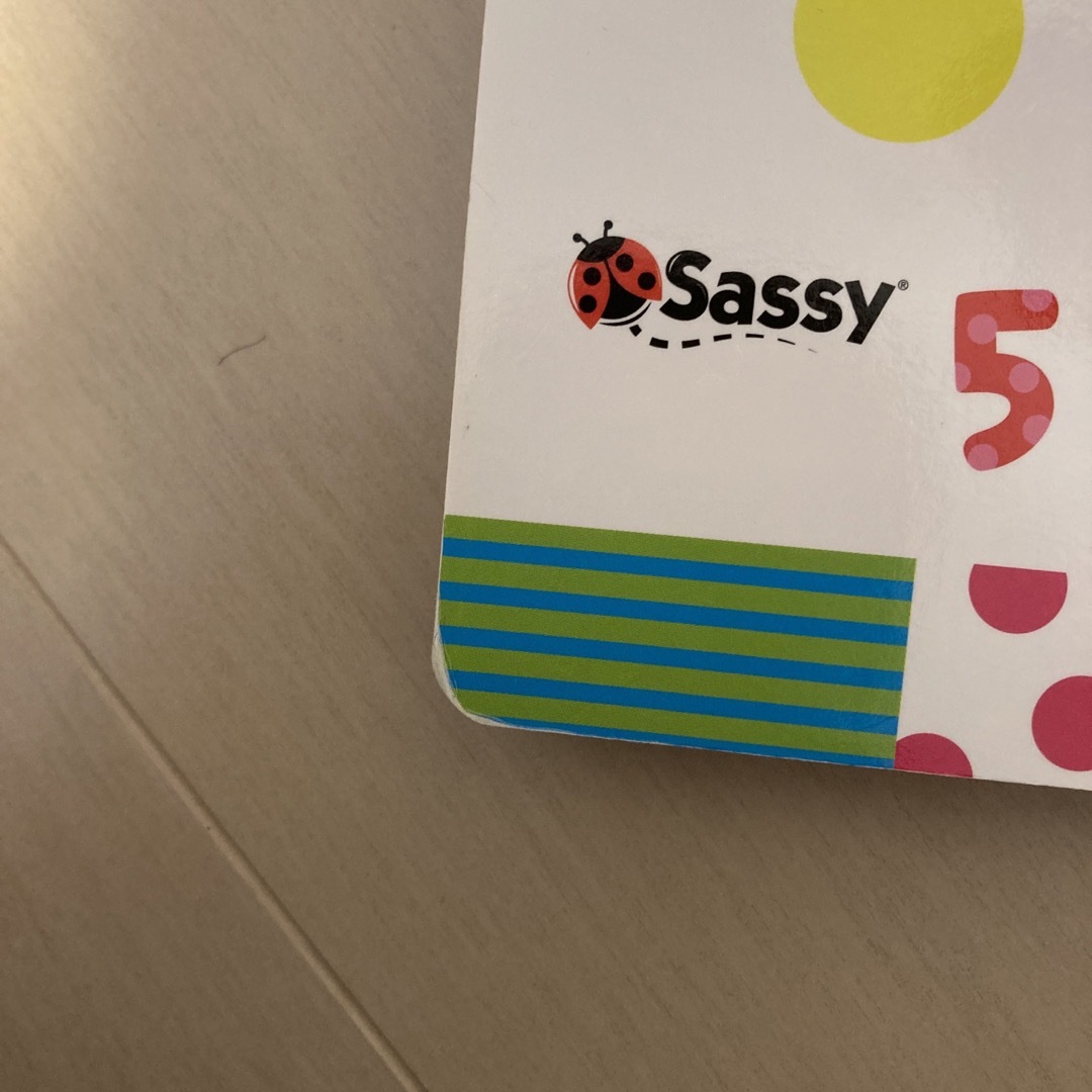 Sassy(サッシー)のいっこにこ 脳を刺激し学びをひきだす エンタメ/ホビーの本(絵本/児童書)の商品写真