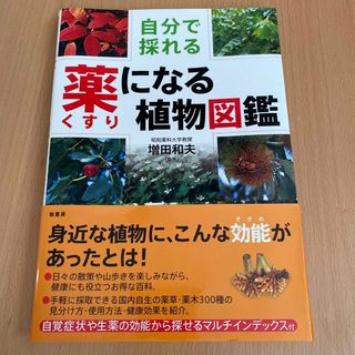 自分で採れる薬になる植物図鑑(趣味/スポーツ/実用)