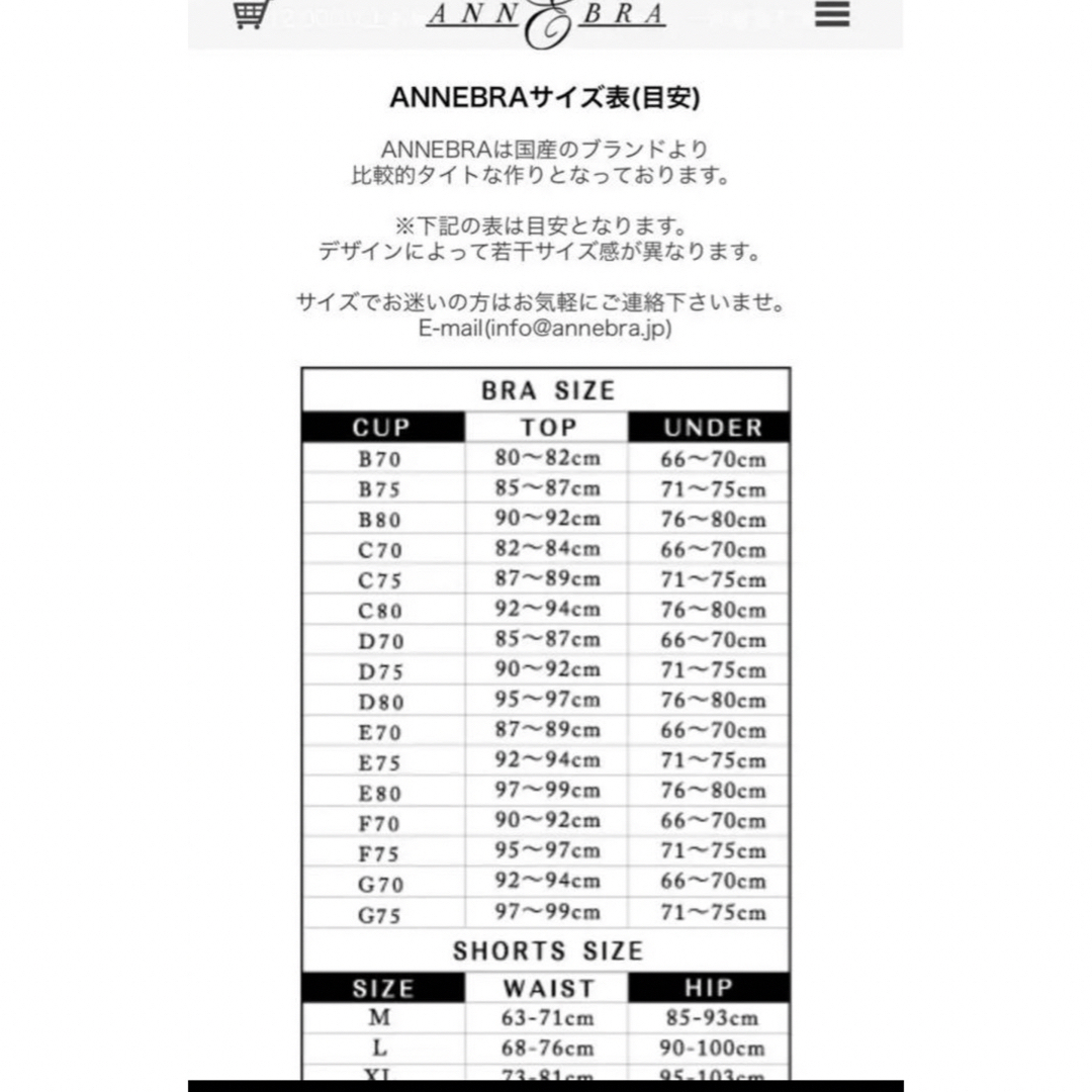 【ANNEBRA オレンジ　豪華③点セット　】70E L レディースの下着/アンダーウェア(ブラ&ショーツセット)の商品写真