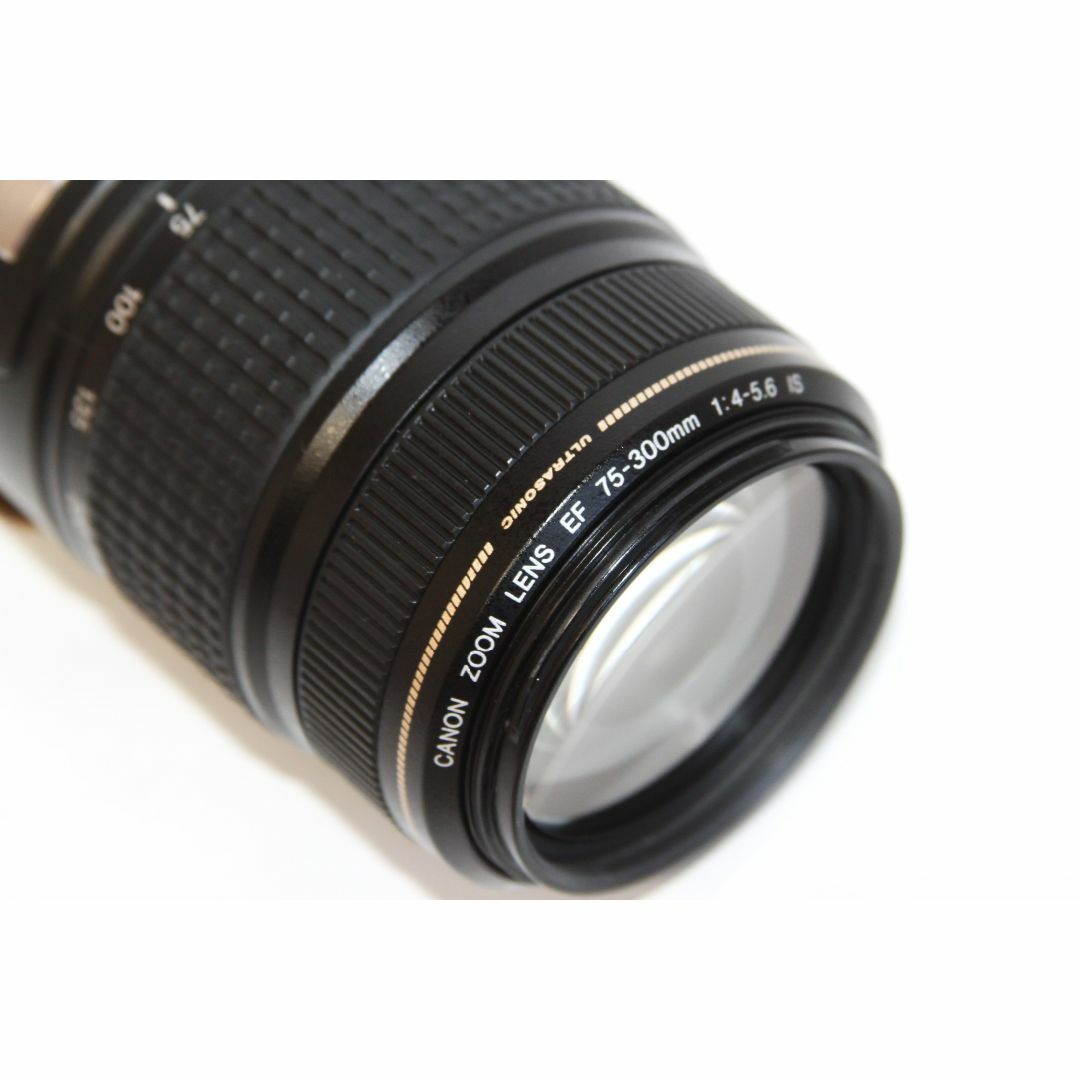 【美品】Canon EF 75-300mm 1:4-5.6 IS USM