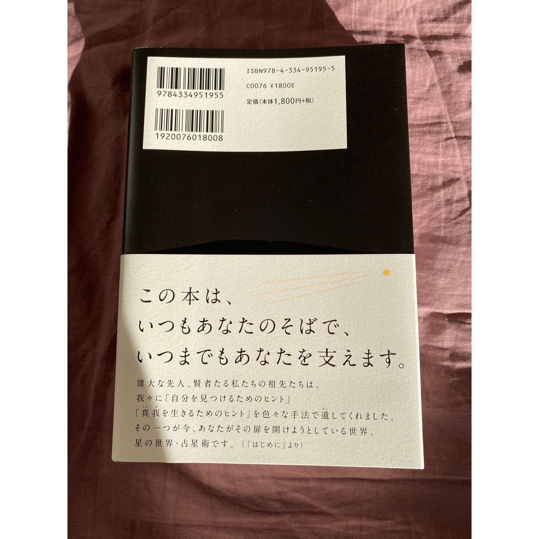 星 2.0 エンタメ/ホビーの本(趣味/スポーツ/実用)の商品写真