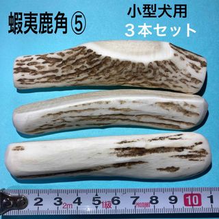 鹿の角　犬用品　小型犬用3本(犬)