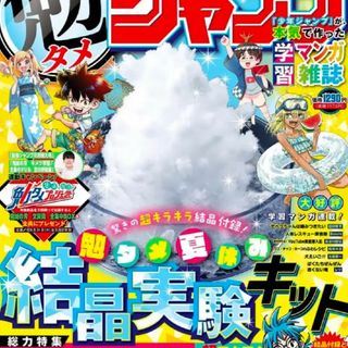 シュウエイシャ(集英社)の勉タメ 夏休み 結晶実験キット タメジャンプ 2023 SUMMER付録(その他)