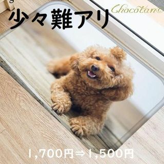 ❁sale プードル Ｂ 写真 フロアマット【訳アリ】(玄関マット)