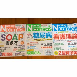 Nursing canvas ナーシングキャンバス(健康/医学)