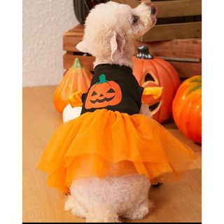 犬用 Lサイズ ハロウィンカボチャドレス(犬)