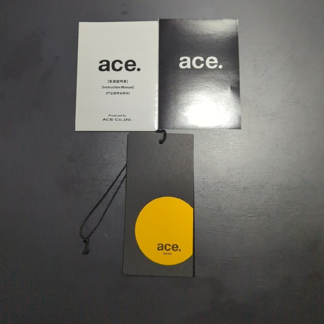 ACE GENE(エースジーン)のACE EVL-3.5 2気室 バックパック 20L ビジネスリュック メンズのバッグ(バッグパック/リュック)の商品写真