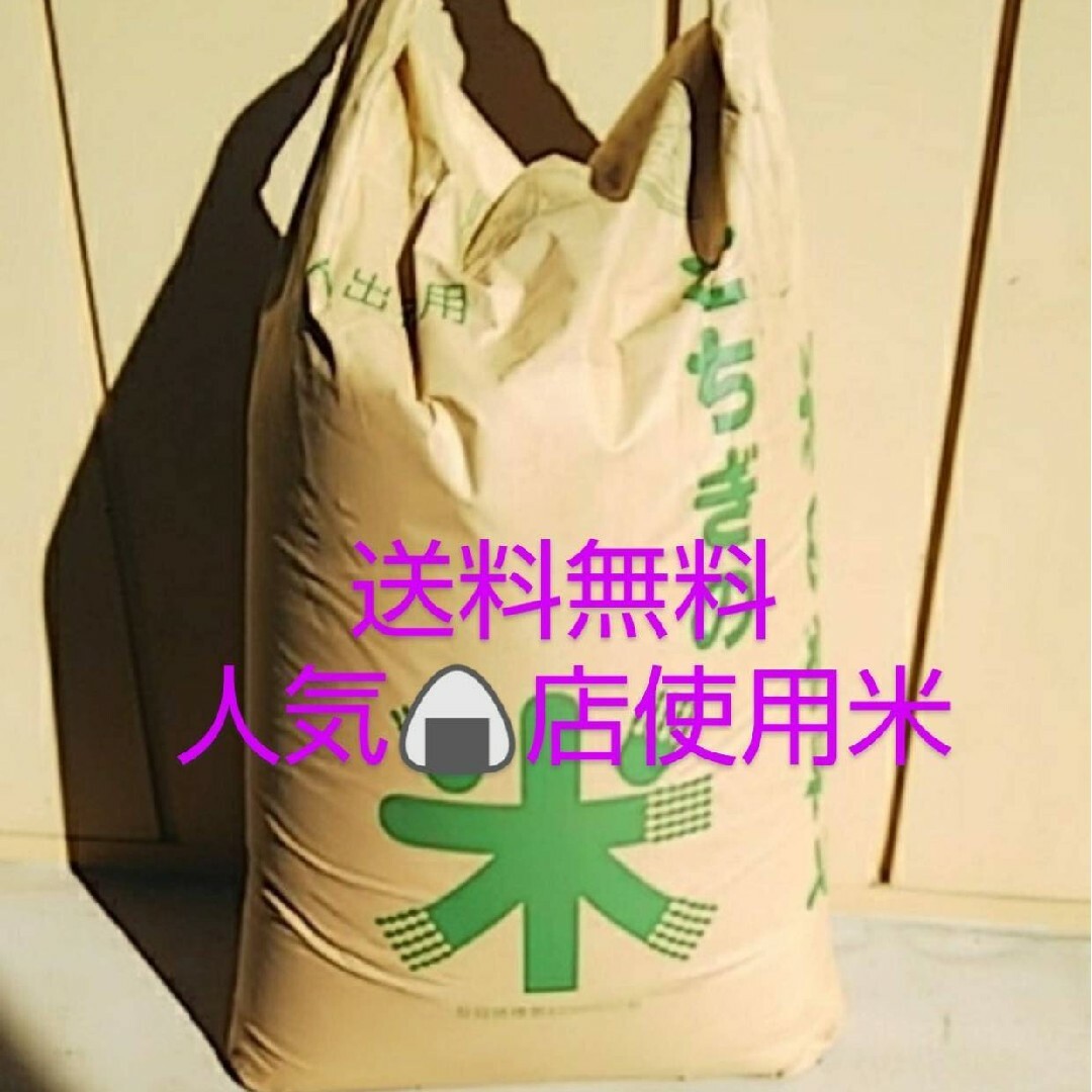 26日まで価格 人気🍙店に出荷してます 送料無料 コシヒカリ 玄米30㎏ 栃木 食品/飲料/酒の食品(米/穀物)の商品写真