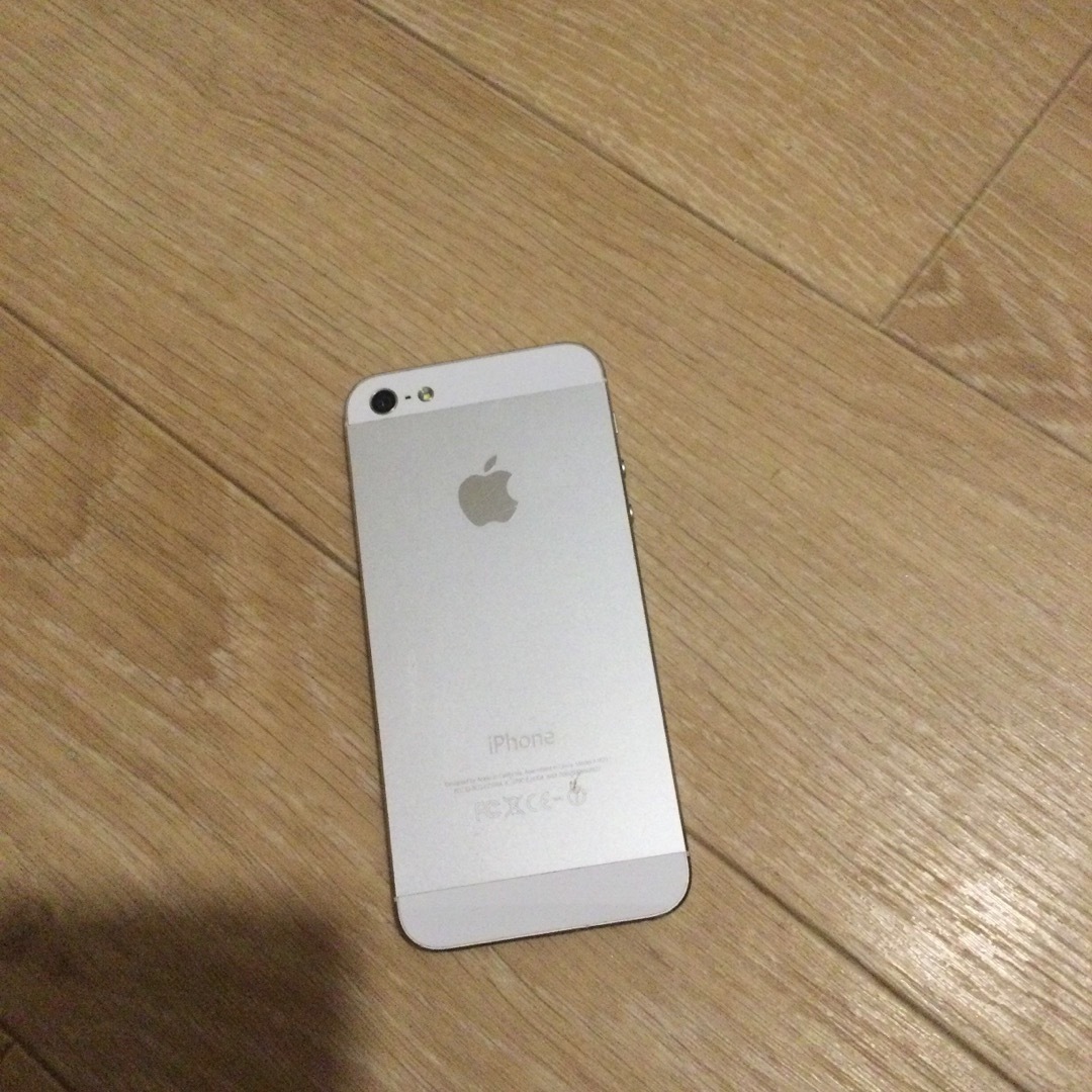 iPhone 1022