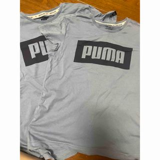 プーマ(PUMA)のプーマ　お揃いTシャツ(Tシャツ/カットソー)