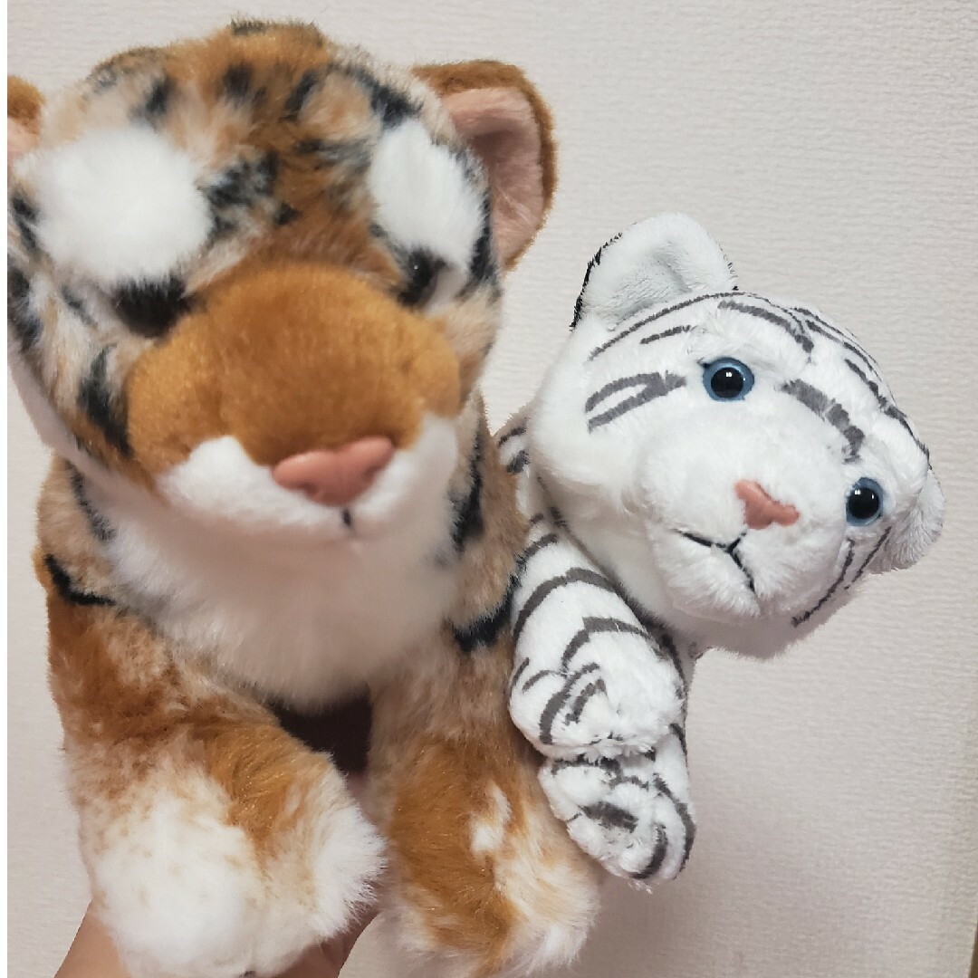 カロラータ トラ タイガー ぬいぐるみセット エンタメ/ホビーのおもちゃ/ぬいぐるみ(ぬいぐるみ)の商品写真