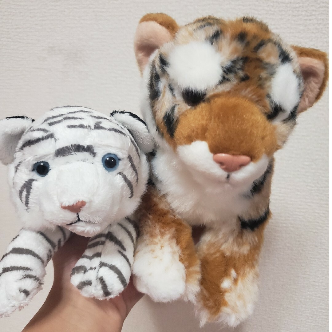 カロラータ トラ タイガー ぬいぐるみセット エンタメ/ホビーのおもちゃ/ぬいぐるみ(ぬいぐるみ)の商品写真