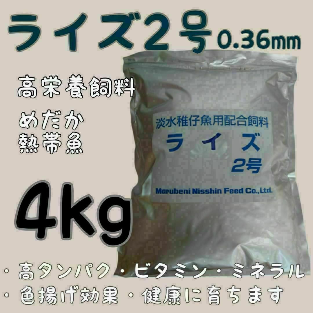 高栄養飼料メダカ餌 ライズ2号 4kg アクアリウム 熱帯魚　グッピー