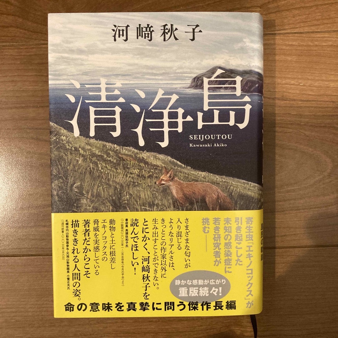 双葉社(フタバシャ)の清浄島 エンタメ/ホビーの本(文学/小説)の商品写真