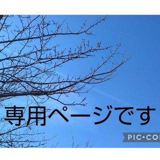 JUNさま専用☆ スウエット(その他)